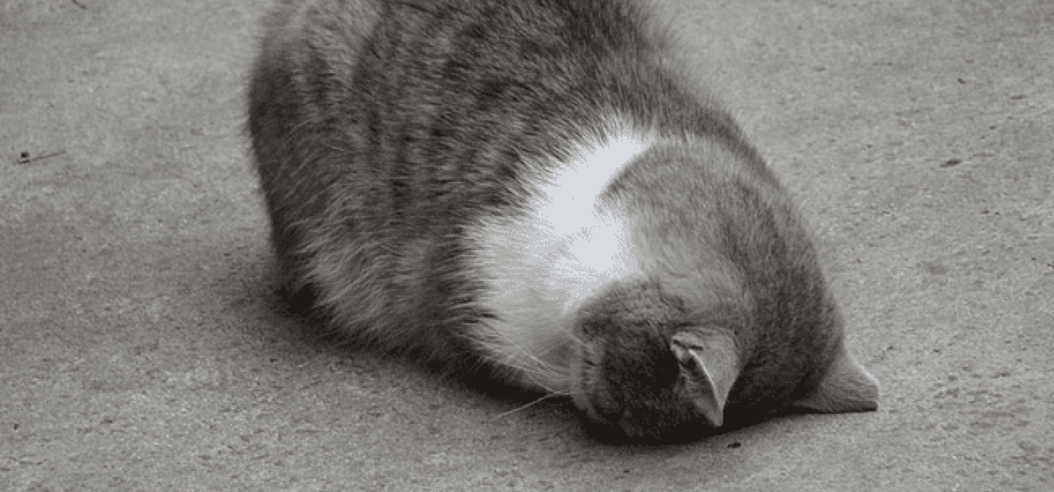 why are my products not selling